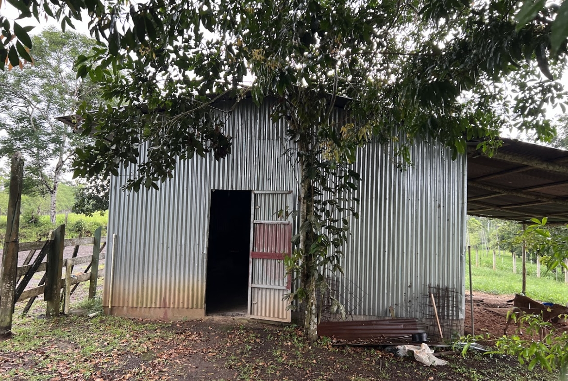 Finca Lechera en Costa Rica